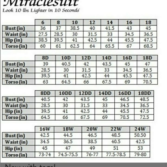 Magicsuit Swimwear (One Piece) - Picture 5 of 5